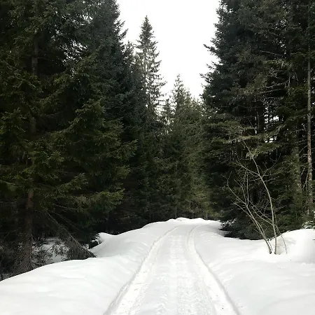 Silueta - Warm And Cozy Jahorina